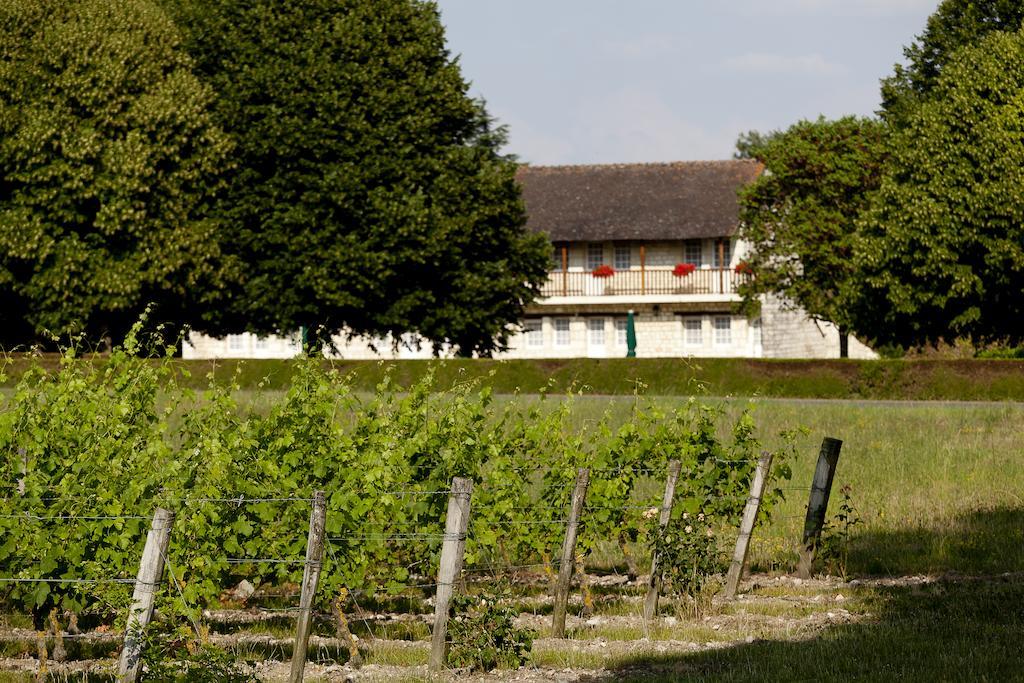 Chateau De Marcay Exteriör bild